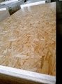 Commerical Plywood 4