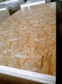 Commerical Plywood