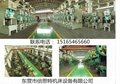 中国性价比最高的JH21-63吨冲床 3