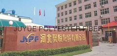 Hebei Juyue Polyester Fiber Co.,Ltd