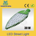 30W LED Street Lights Road Lamp waterproof Leafs led outdoor light garden lights 1