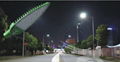 30W LED Street Lights Road Lamp waterproof Leafs led outdoor light garden lights 4