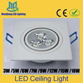 LED Ceiling Down Light Indoor Spot Lamp