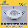 LED Ceiling Down Light Indoor Spot Lamp