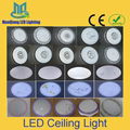 LED Ceiling Down Light Indoor Spot Lamp