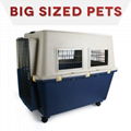 Pet Traveller Box Plastic Pet Transport Carrier