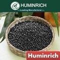 Huminrich High Quality Agricultural Humic Acid from Leonardite 2