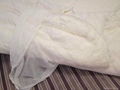 Mulberry Silk  Filled Comforter 2