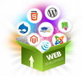 Exclusive Web Development Services at