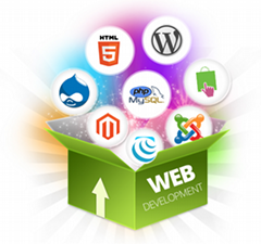 Exclusive Web Development Services at affordable price