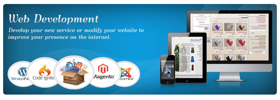 Exclusive Web Development Services at affordable price 2