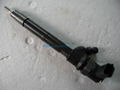 Common Rail Injector 0 445 110 317 Brand