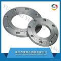 stainless steel flanges/WN/SO/PL/BL 1