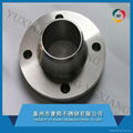 stainless steel flanges/WN/SO/PL/BL 2