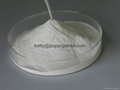 redispersible emulsion powder for tile adhesive  2