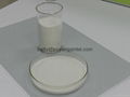 Redispersible polymer Powder(RDP powder)