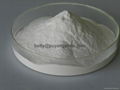 Redispersible polymer Powder(RDP powder) similar to Wacker