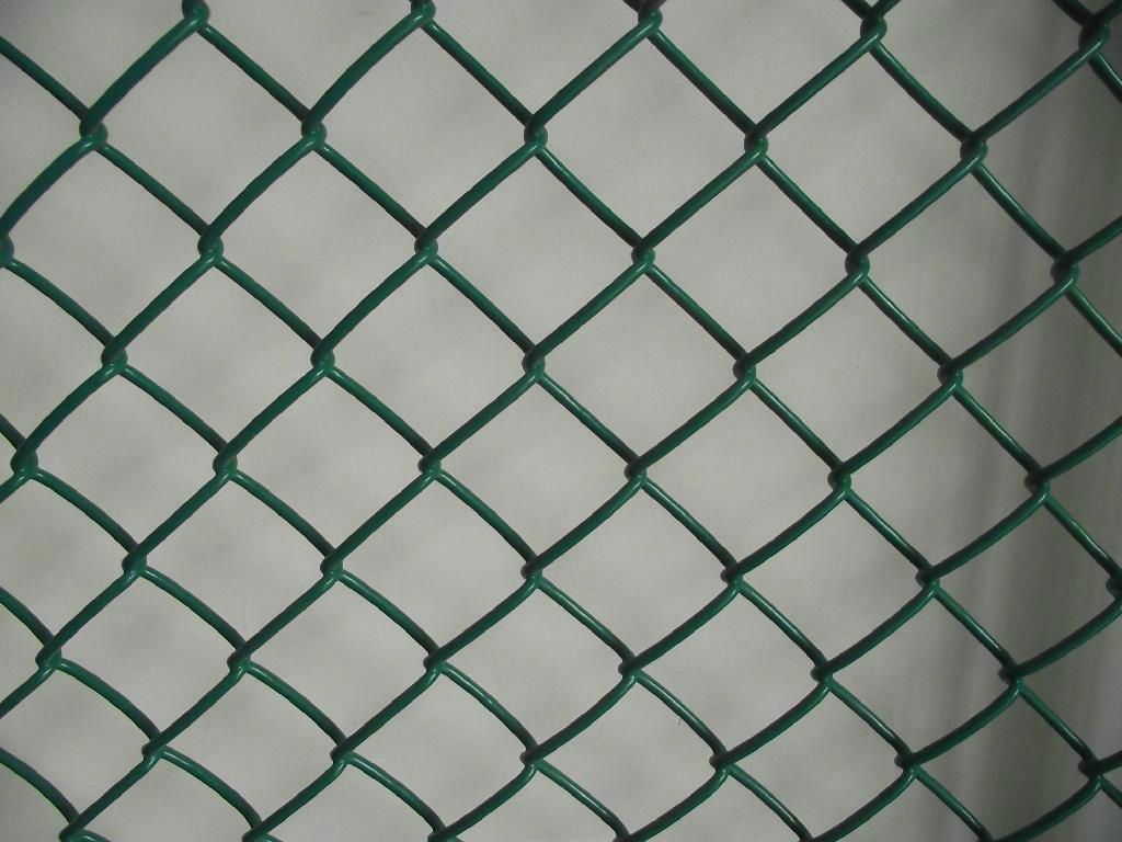 chain link fence 3