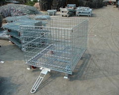 Traction storage cage