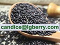 Natural Black Rice Extract Cyanidin-3-glucosides (C3G) 1