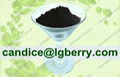 Factory supply organic black currant