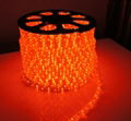 led rope light 5