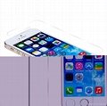 Privacy screen protector for iPhone 5 3