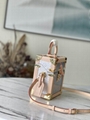  Louis Vuitton bags  Monogram camara box phone bag
