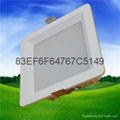 LED Downlight  1