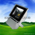 LED Flood Light