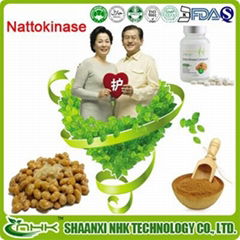 Factory price blood system care high quality natural and pure nattokinase