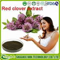 GMP Supplier Women Health Product Isoflavones Powder Red Clover Extract 1