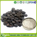 Manufacturer Supply Griffonia Seed