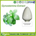 GMP manufacturer high quality natural gynostemma extract 1