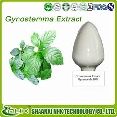 GMP manufacturer high quality natural gynostemma extract