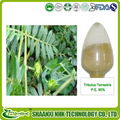 GMP Manufacturer supply high quality natural Tribulus Terrestris Extract