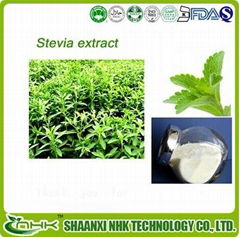 GMP factory supply free sample 99% stevioside natural stevia extract