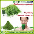 Factory Supply Food Grade 100% Natural Organic Wheat Grass Powder