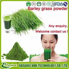 Factory Supply Food Grade 100% Natural Organic Wheat Grass Powder