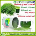 organic barley grass powder high quality