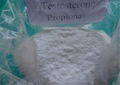 High Purity 99%+ Testosterone Powders Steroid Test E/Testosterone Enanthate 4