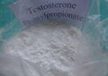 Testosterone Phenylpropionate/TPP Steroid Powders CAS 1255-49-8 Free Resending 2