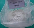 Testosterone Acetate/Testosterone Steroids CAS 1045-69-8 100% Shipping Guarantee 2