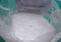 Human Steroids Hormone Test Powders/Testosterone Enanthate Ester 2