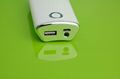 Power Bank 10400mAh, Portable Mobile Power Bank with 1 Year Warranty 5