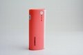 Portable External Battery Power Bank Charger for Your Smart Phone