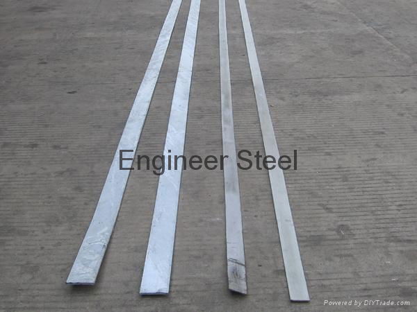 China Good Quality Professional Iron Flat Bar 