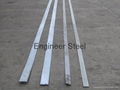 China Good Quality Professional Iron Flat Bar  1