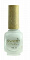 12ml sweet color nail polish  1