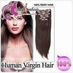 100% Brazilian Human Virgin Hair